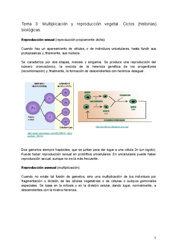 Miniatura del documento 3.pdf