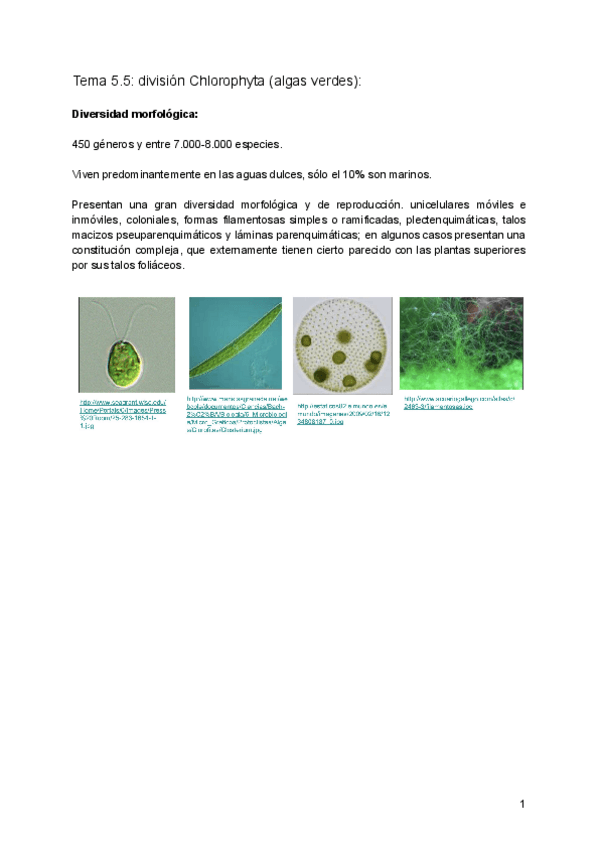 Miniatura del documento 5.pdf