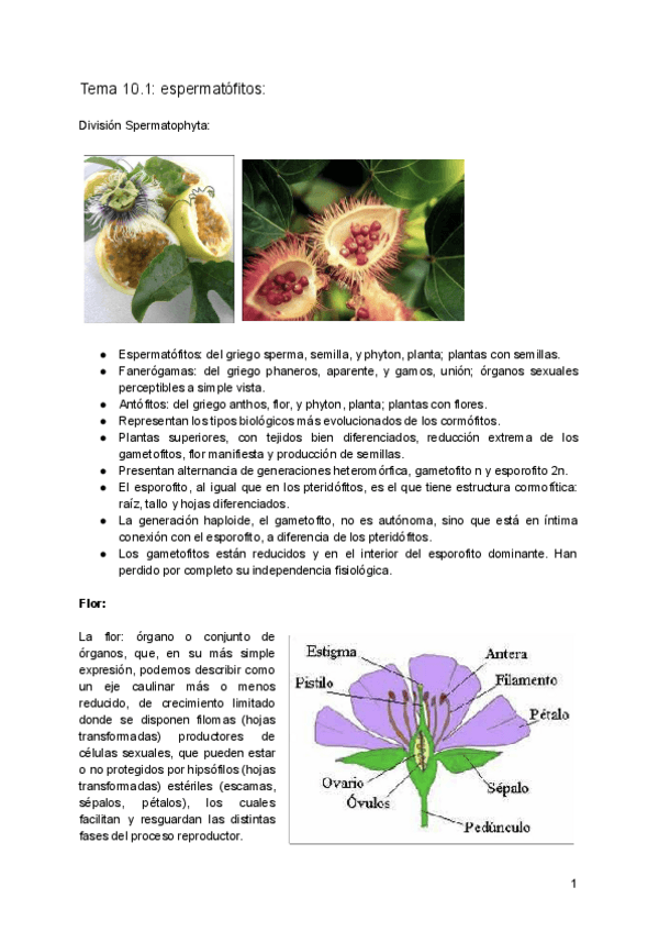 Miniatura del documento 10.pdf