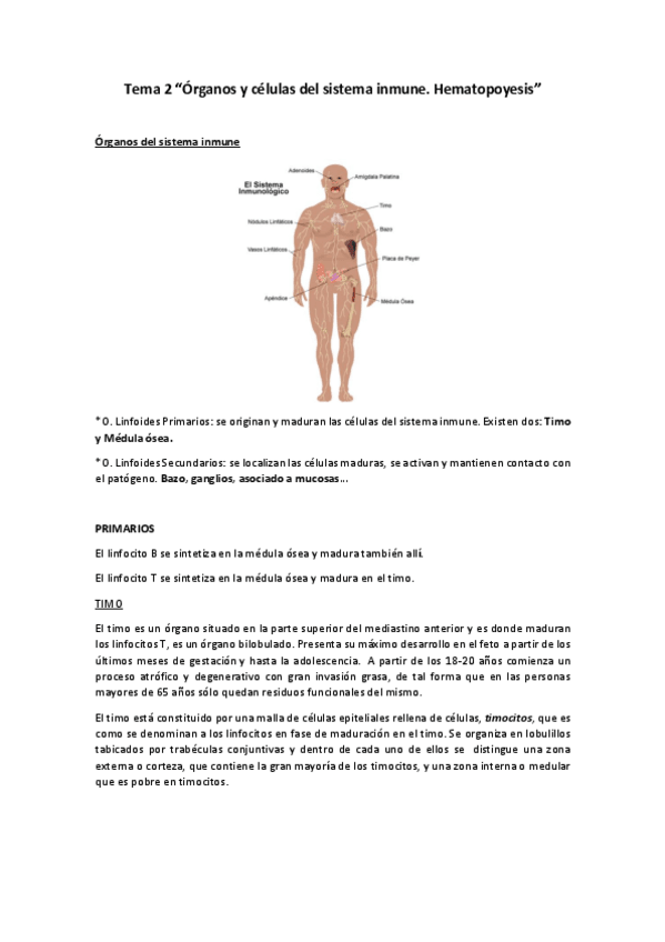 Miniatura del documento Tema 2 inmuno.pdf