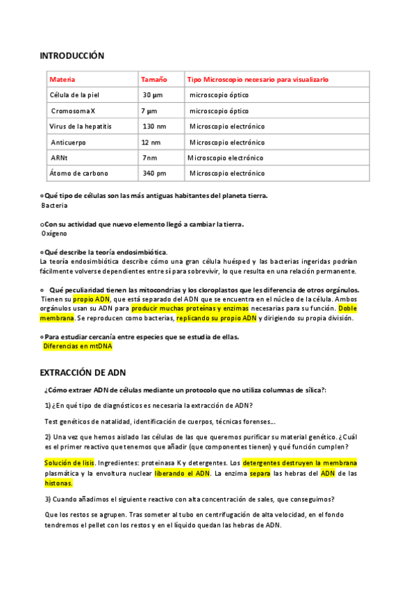 Miniatura del documento ACTIVIDADES.pdf