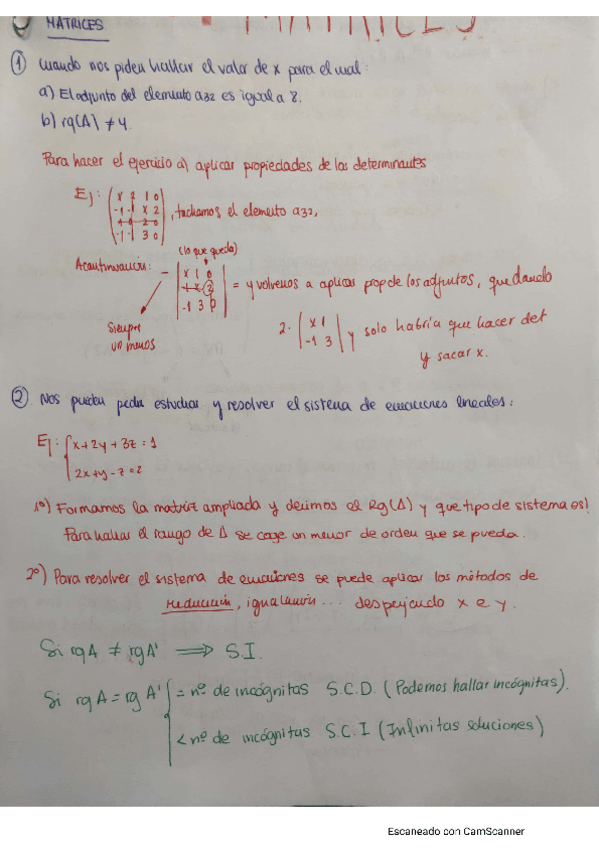 Miniatura del documento Tema-MATRICES.pdf