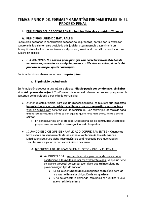 Miniatura del documento TEMA-2-principios-formas-y-garantias-en-el-proceso-penal.pdf