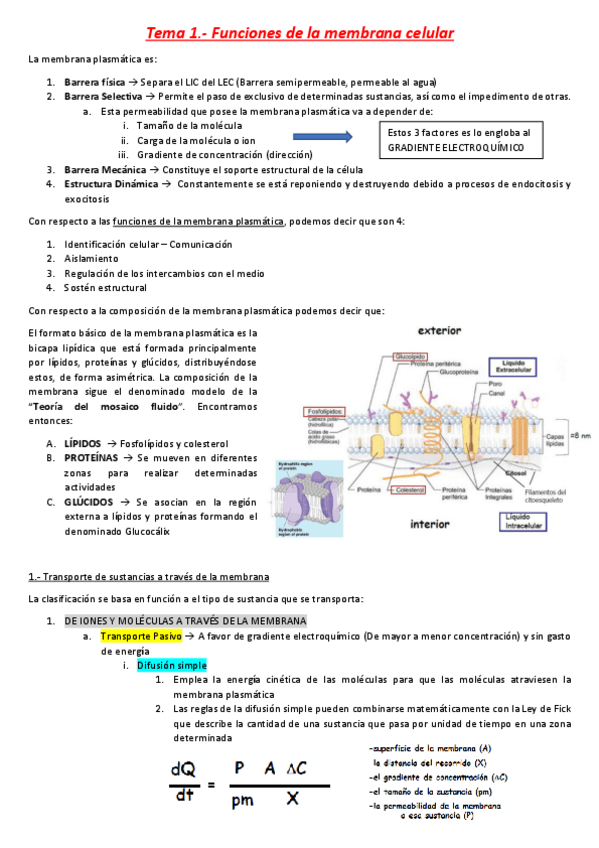 Miniatura del documento Tema 1- Funciones de la membrana celular.pdf