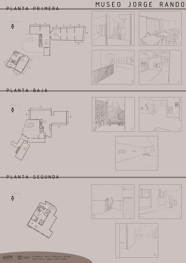 Miniatura del documento SANGUINOORTEGAP1-2.pdf