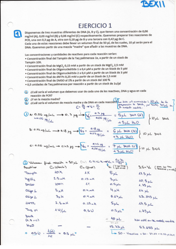 Miniatura del documento Ejercicios-resueltos-Genetica.pdf