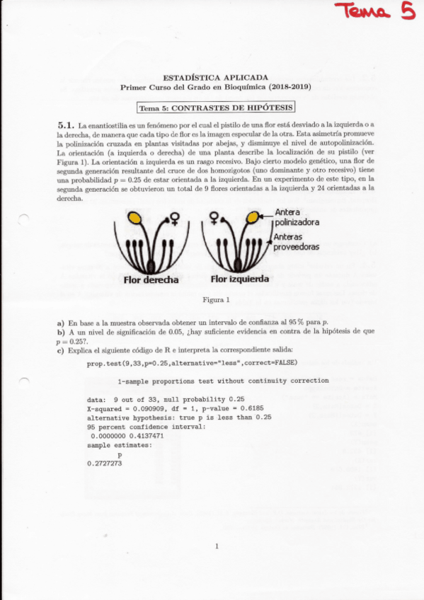 Miniatura del documento Ejercicios-resueltos-Tema-5.pdf