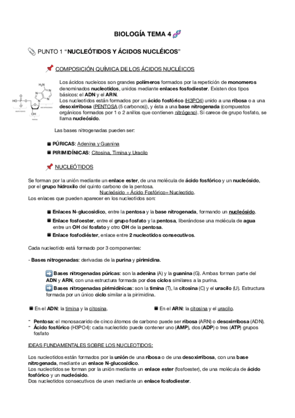 Miniatura del documento Nucleotidos y Ácidos Nucleicos.pdf