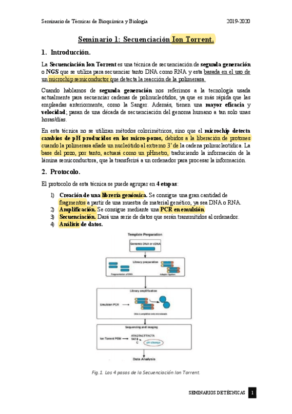 Miniatura del documento Seminarios-completos-copia.pdf