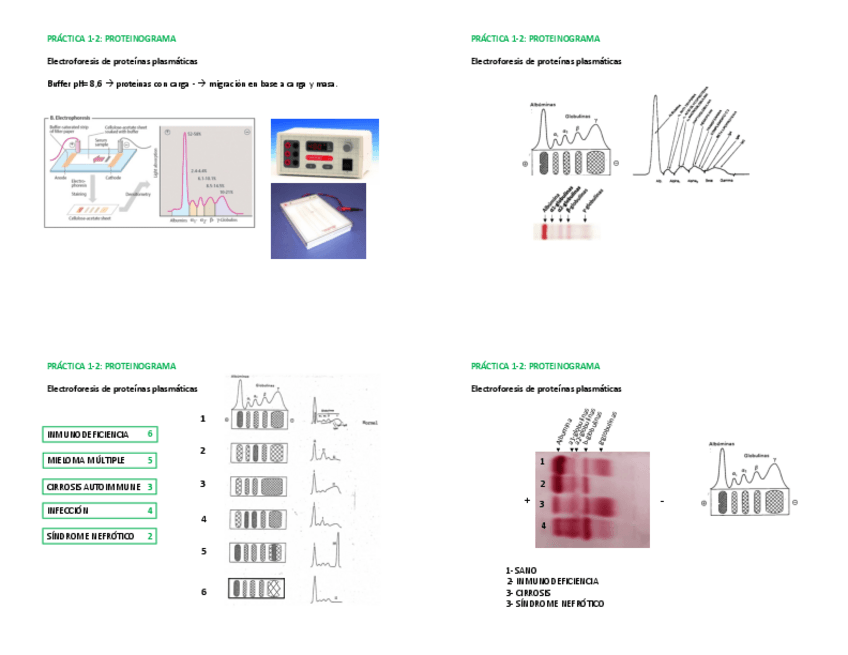 Miniatura del documento Practicas-bioq-repaso-final.pdf