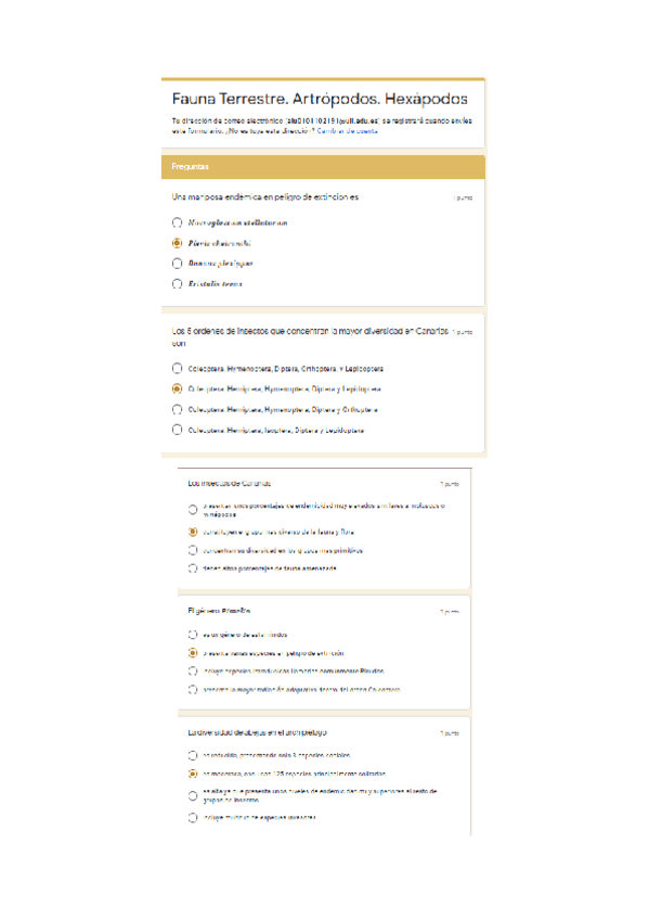 Miniatura del documento t-10.pdf