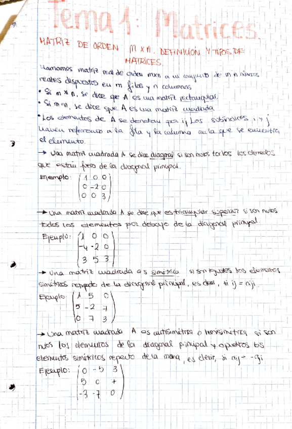 Miniatura del documento Matrices.pdf