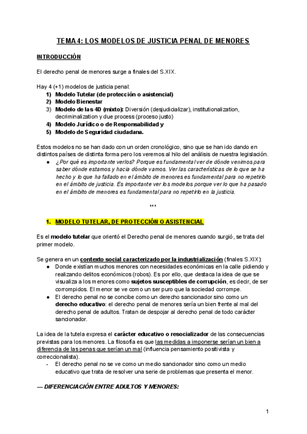 Miniatura del documento TEMA-4-apuntes-clase-delincuencia-de-menores.pdf