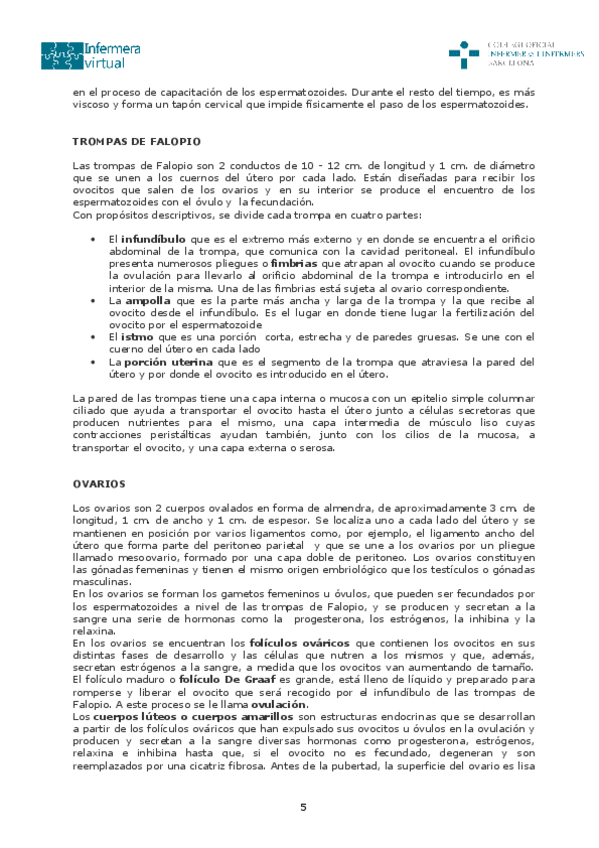 Miniatura del documento Sistema-reproductor-femenino1-5-6.pdf