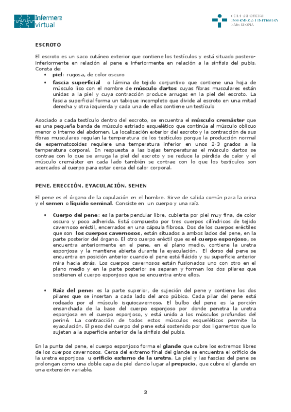 Miniatura del documento Sistema-reproductor-masculino1-3-4.pdf