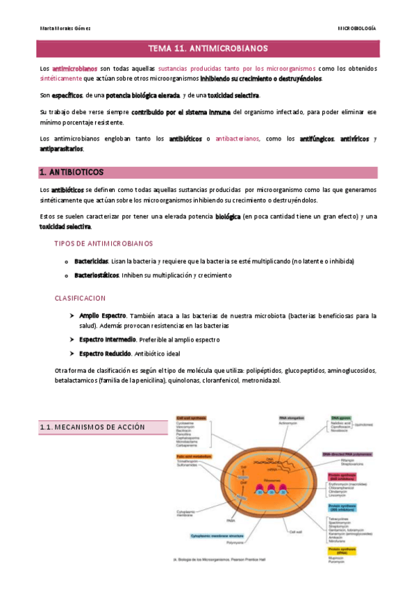 Miniatura del documento Tema-11.pdf