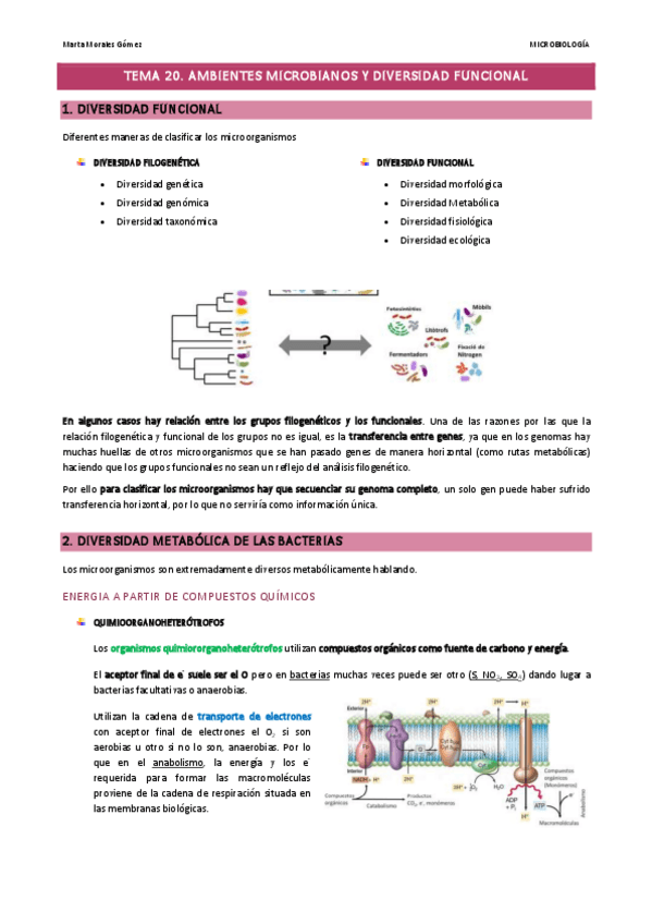 Miniatura del documento Tema-20-21.pdf