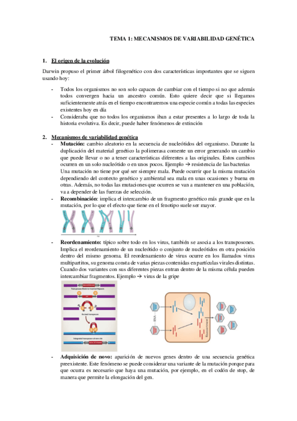 Miniatura del documento TEMA-1.pdf