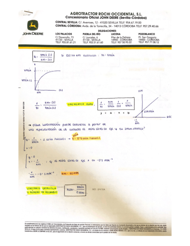 Miniatura del documento enzimas.pdf