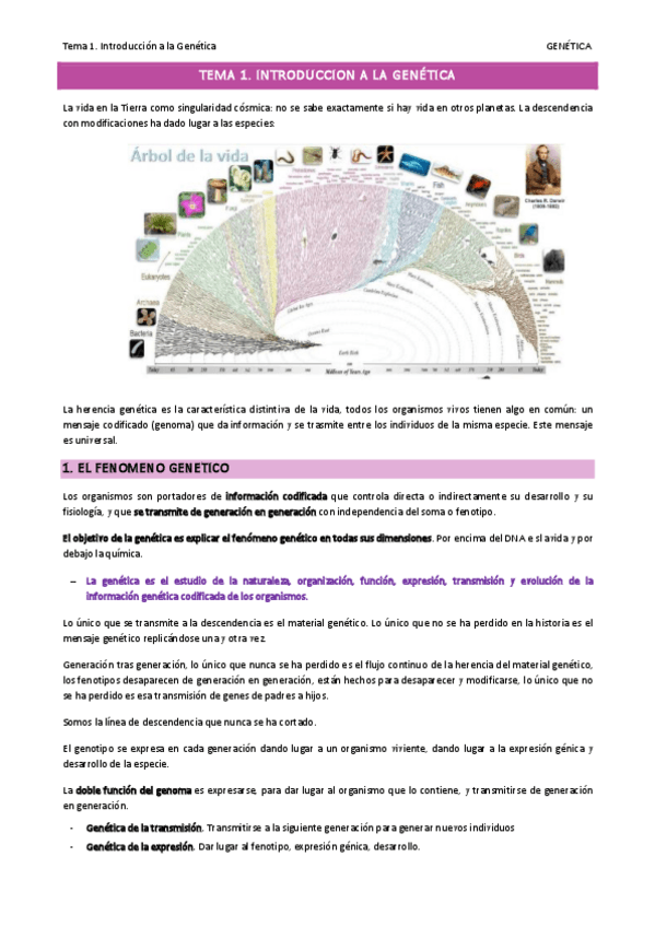 Miniatura del documento Tema-1.pdf