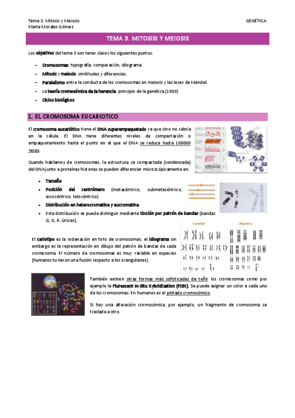 Miniatura del documento Tema-3.pdf