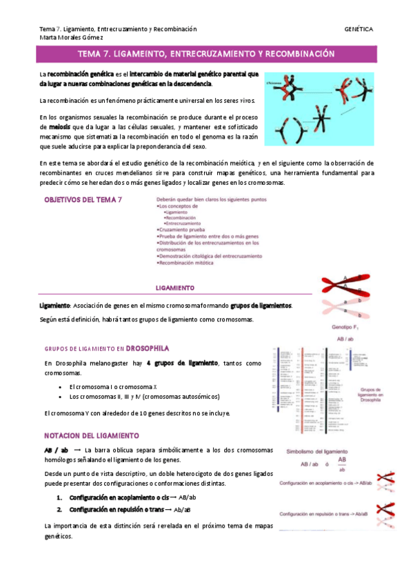 Miniatura del documento Tema-7.pdf