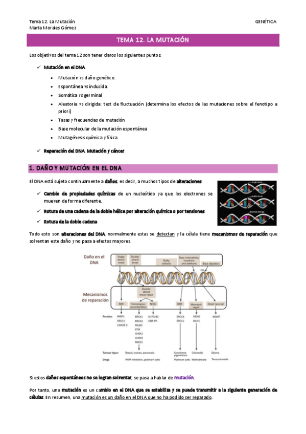 Miniatura del documento Tema-12.pdf
