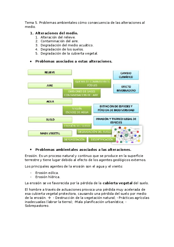 Miniatura del documento Tema-5.docx