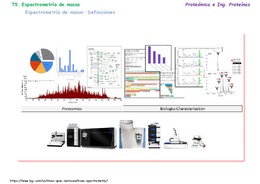 Miniatura del documento T05Espectrometria-de-masas.pdf