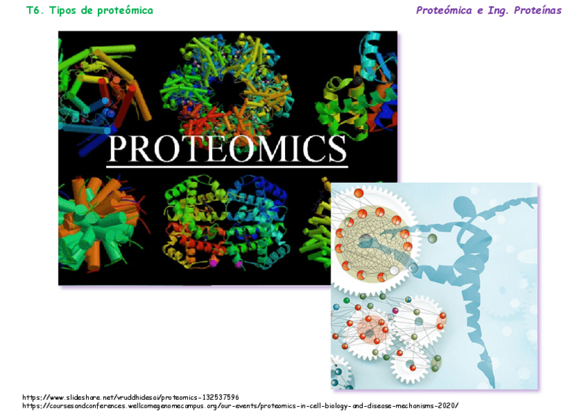 Miniatura del documento T06Tipos-de-proteomica.pdf
