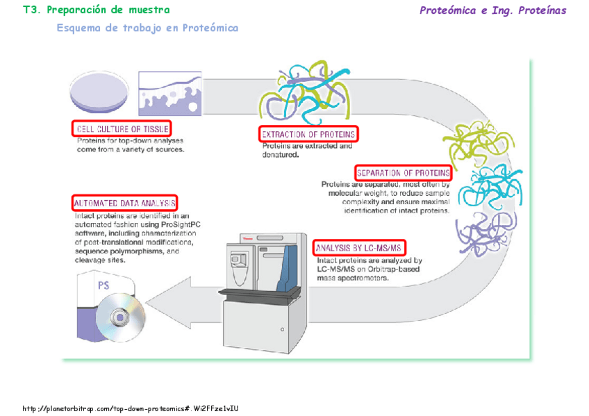 Miniatura del documento T03Preparacion-muestrav3.pdf