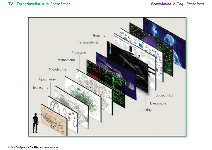 Miniatura del documento T02Introduccion-a-la-Proteomicav2.pdf