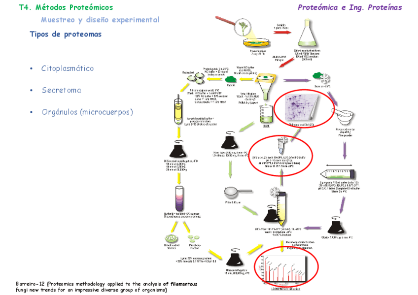 Miniatura del documento T04aMetodos-Proteomicos.pdf