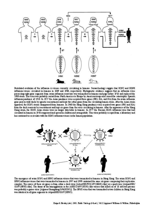 Miniatura del documento Epidemiologia-influenzavirus.pdf