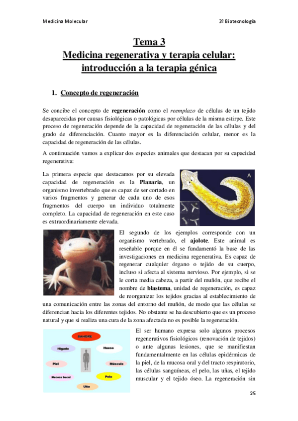 Miniatura del documento Tema-3.pdf