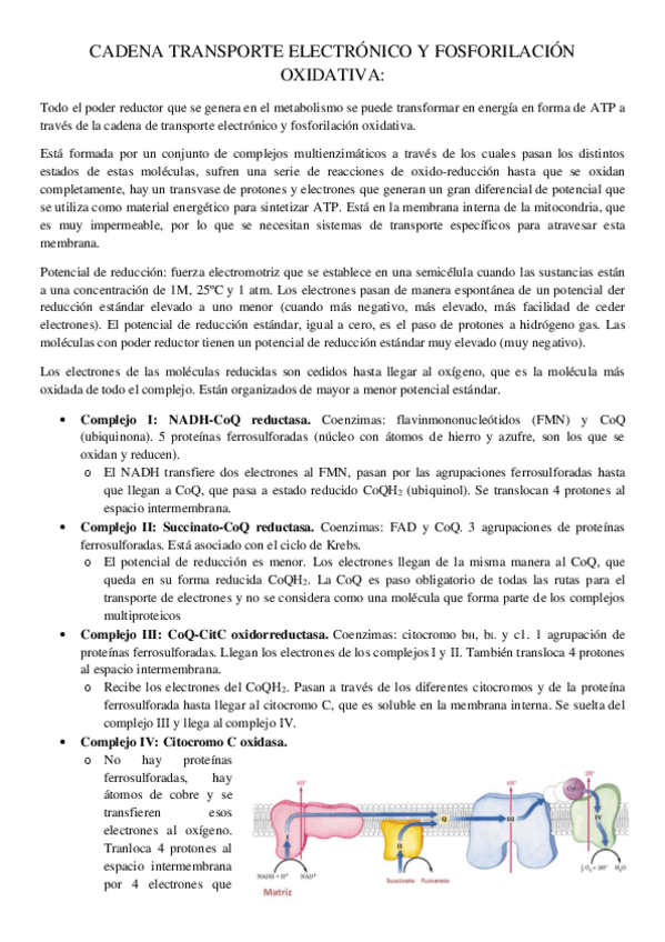 Miniatura del documento Cadena-de-transporte-electronico.pdf