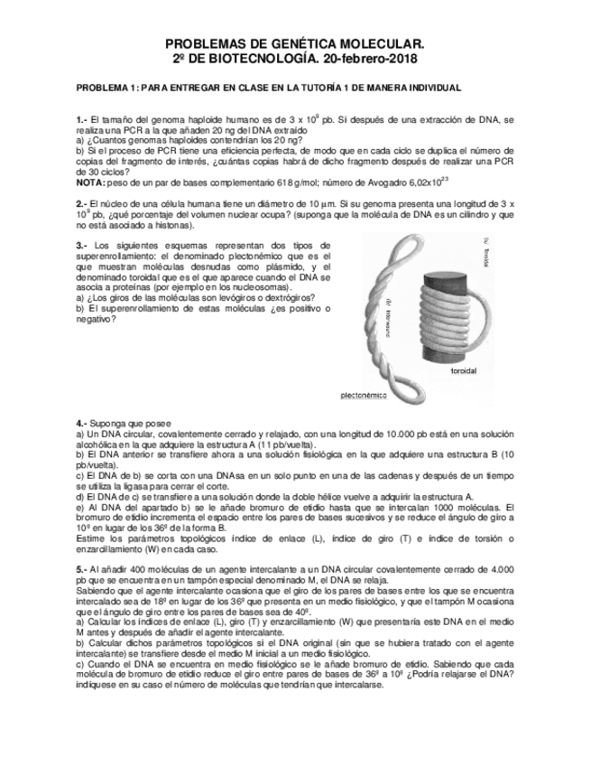 Miniatura del documento Hoja-1-201718.pdf
