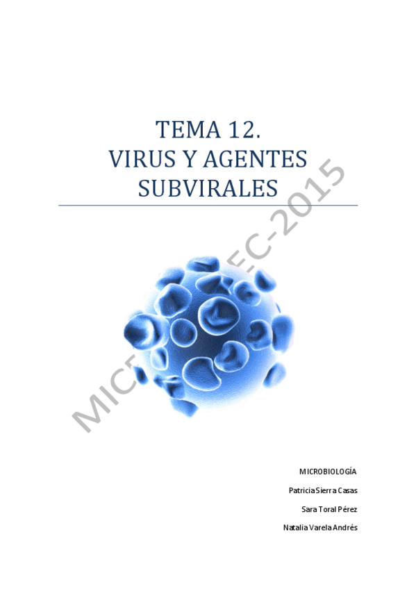 Miniatura del documento TEMA-12.pdf