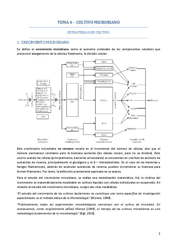 Miniatura del documento TEMA-4.pdf