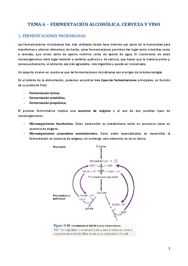 Miniatura del documento TEMA-6.pdf