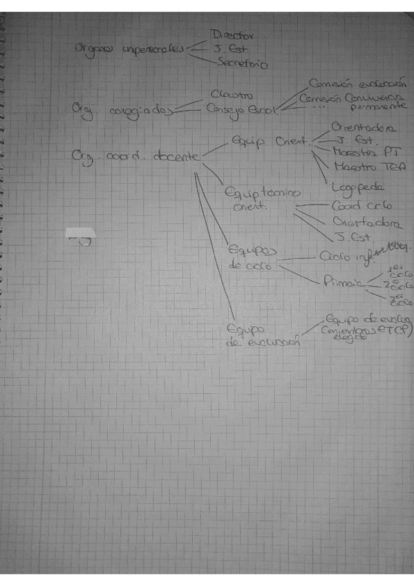 Miniatura del documento Organigrama-cole.pdf