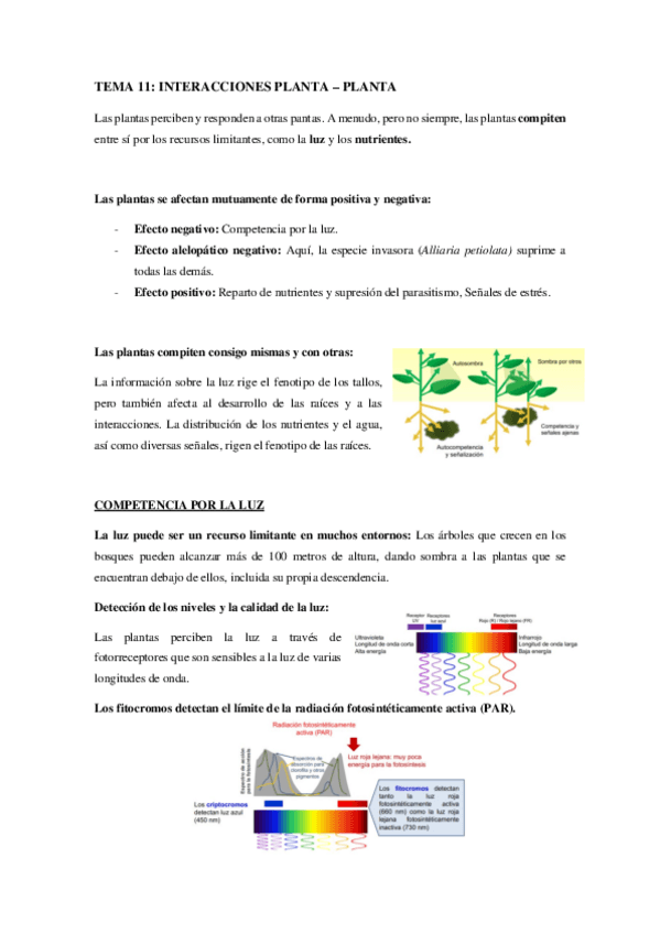 Miniatura del documento TEMA-11.pdf