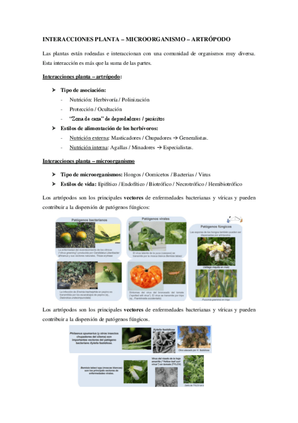 Miniatura del documento TEMA-12.pdf