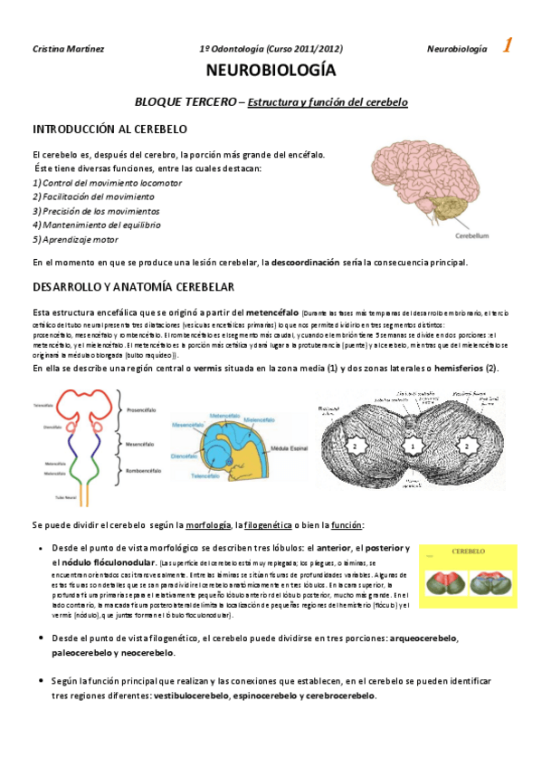 Miniatura del documento NEUROBIOL.pdf