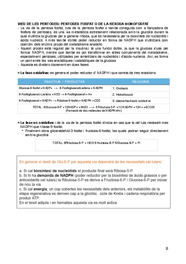 Miniatura del documento metabolismo-de-los-glucidos-9-10.pdf