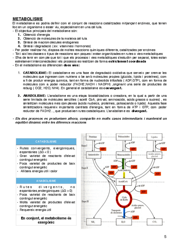 Miniatura del documento introduccic3b3n-al-metabolismo-5-6.pdf