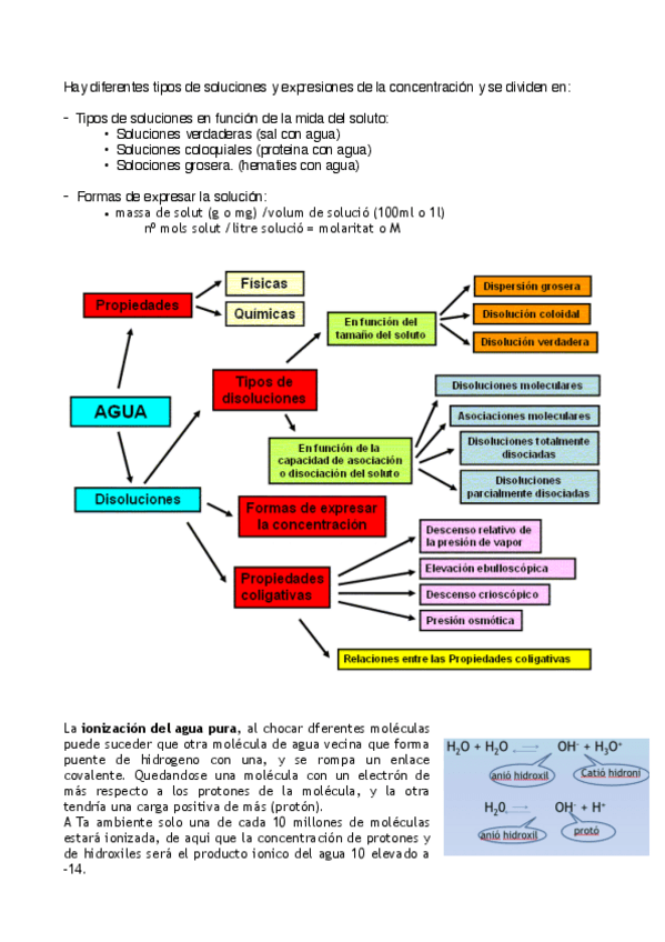 Miniatura del documento apuntes-de-bioquimica-6-8.pdf