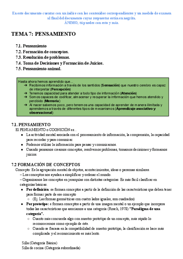 Miniatura del documento TEMA7PENSAMIENTO.pdf