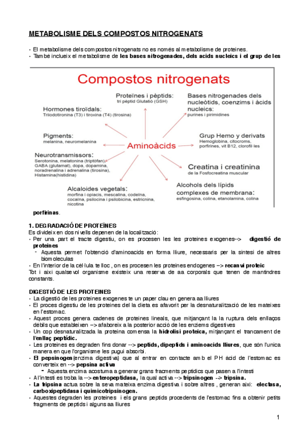 Miniatura del documento metabolismo-de-los-compuestos-nitrogenados-1-3.pdf