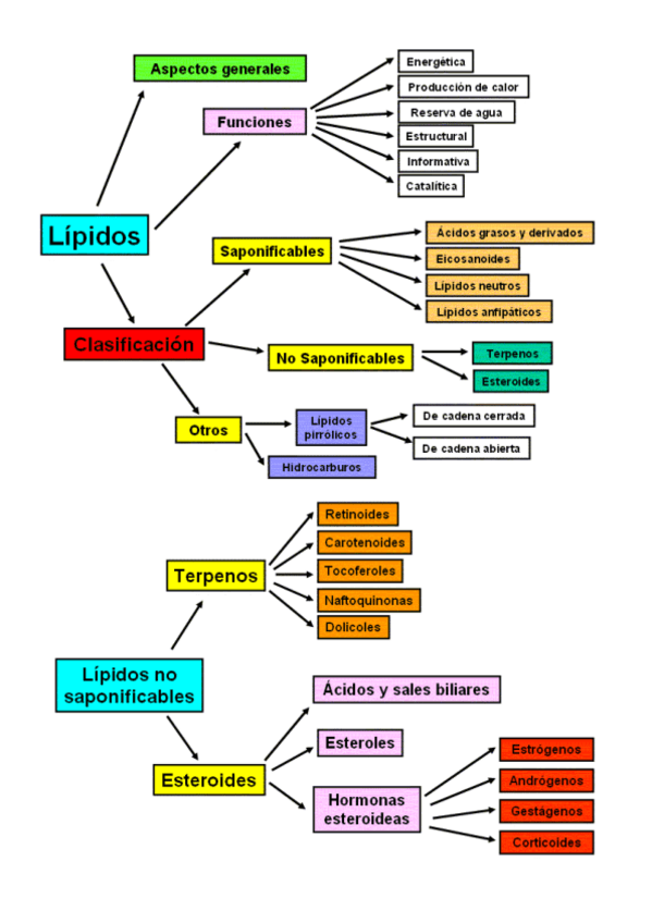 Miniatura del documento esquema-organizativo.pdf